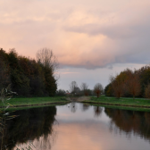 Vogelhorst Almere Hout